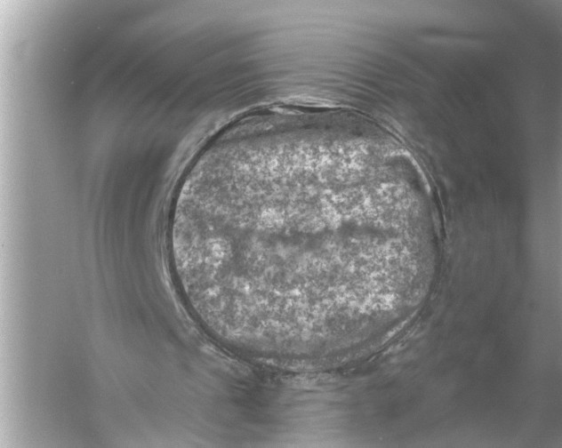 X0000055990241200509162259