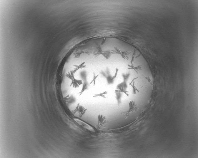 X0000055990242200509162259