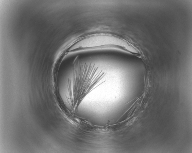 X0000055990245200509162259