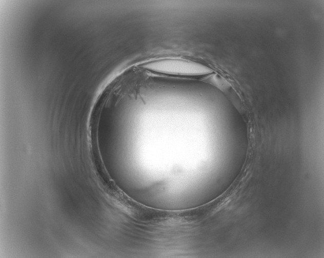 X0000055990246200509162259