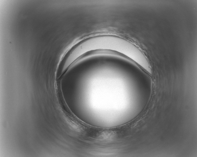 X0000055990248200509162259