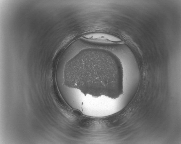 X0000055990250200509162259