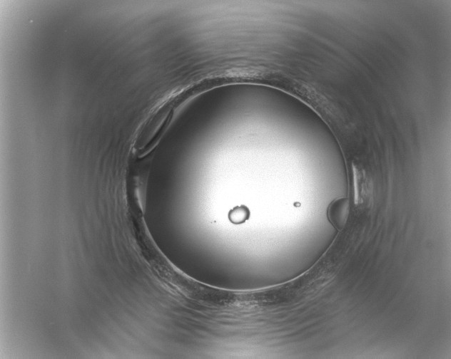 X0000055990252200509162259