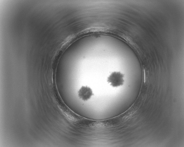 X0000055990253200509162259