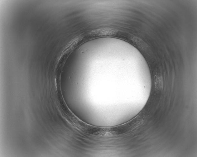 X0000055990254200509162259