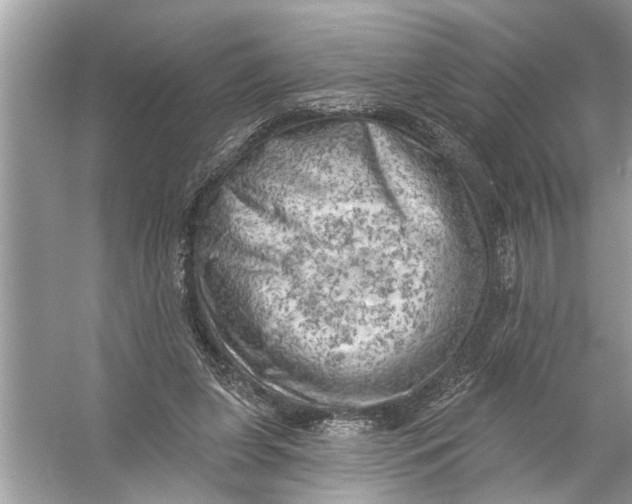 X0000055990255200509162259