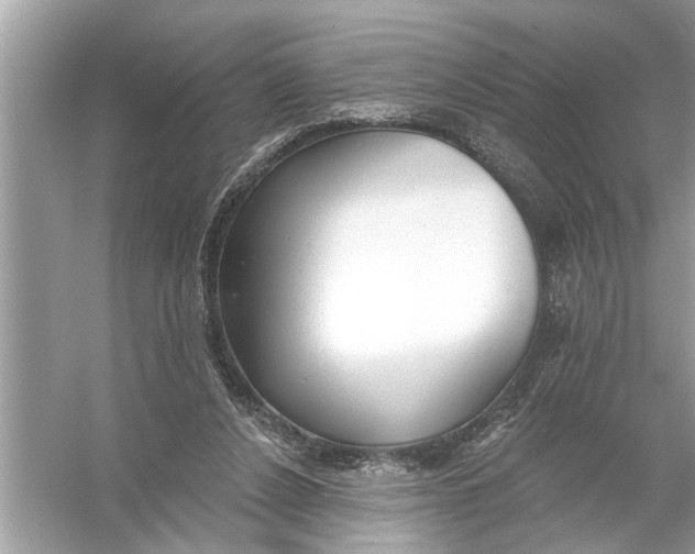 X0000055990256200509162259