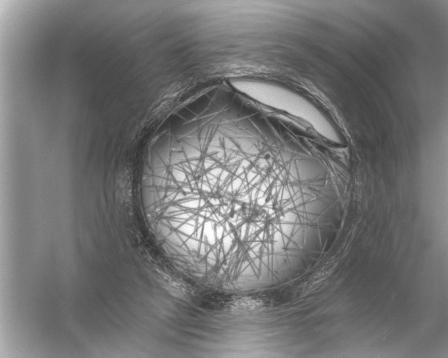 X0000055990257200509162259