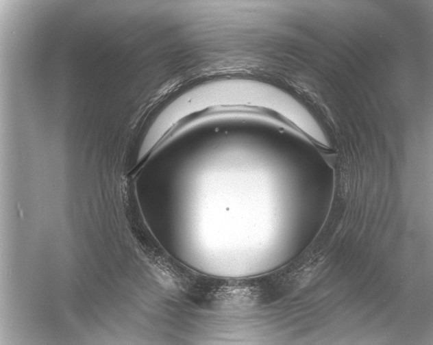 X0000055990260200509162259