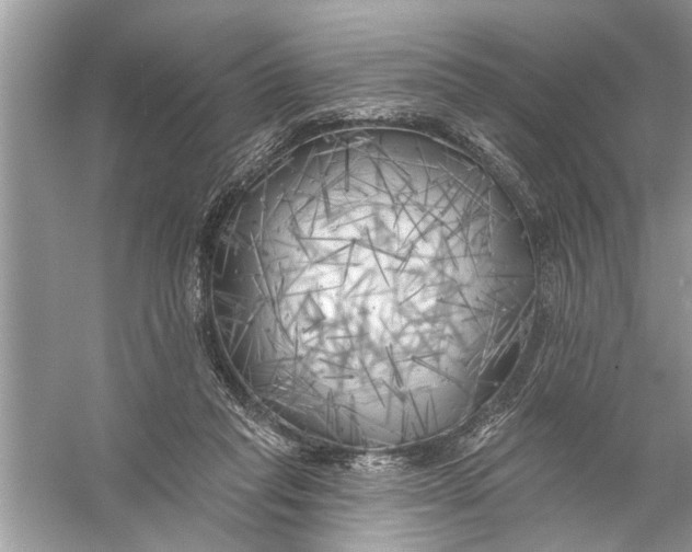 X0000055990261200509162259