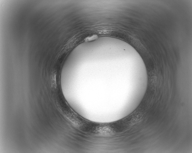 X0000055990262200509162259