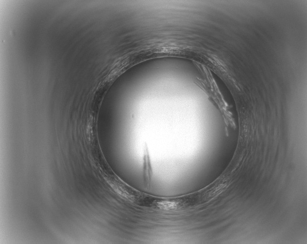 X0000055990265200509162259