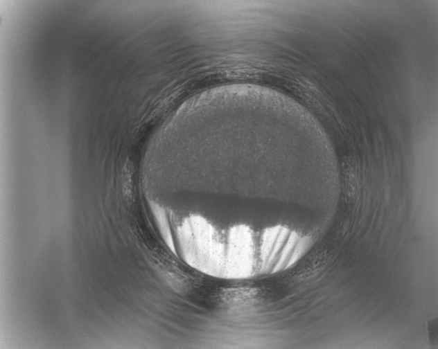 X0000055990266200509162259