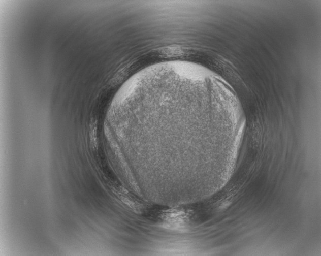 X0000055990267200509162259