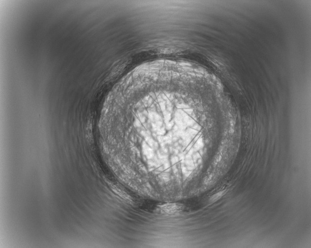 X0000055990269200509162259