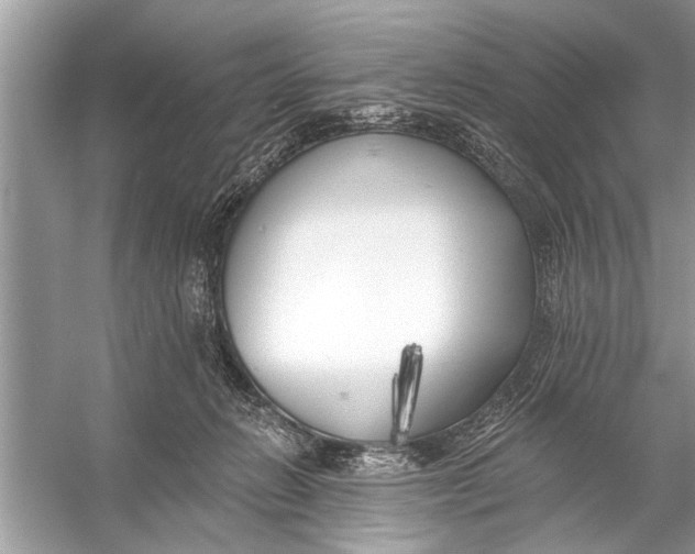 X0000055990270200509162259