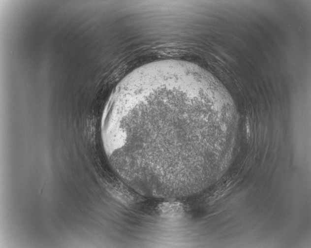 X0000055990271200509162259