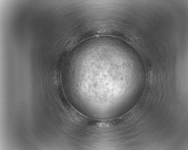 X0000055990272200509162259