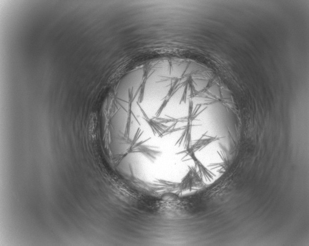 X0000055990273200509162259