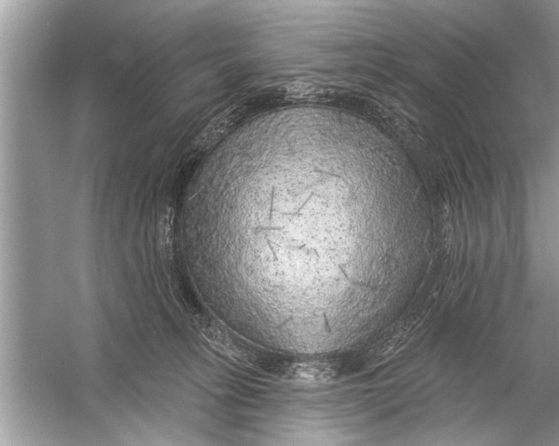 X0000055990275200509162259