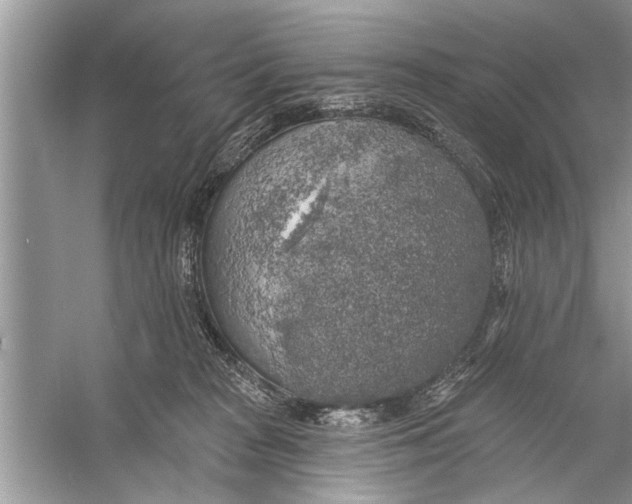 X0000055990277200509162259