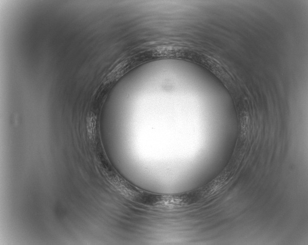 X0000055990278200509162259