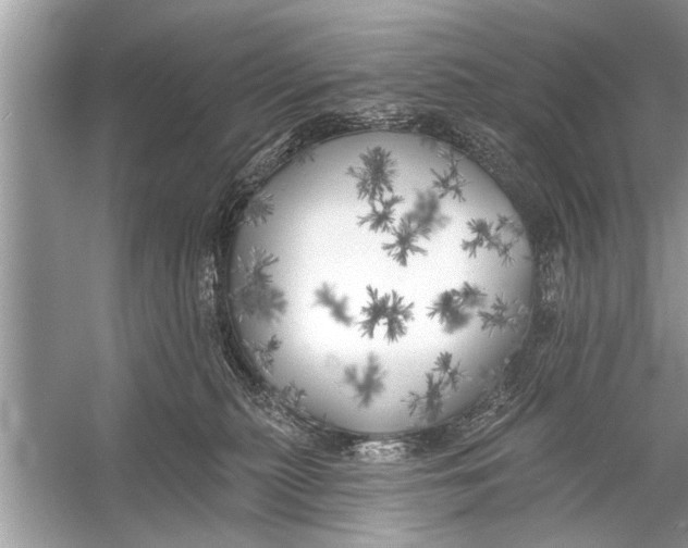 X0000055990279200509162259