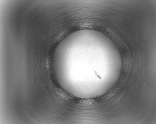 X0000055990282200509162259