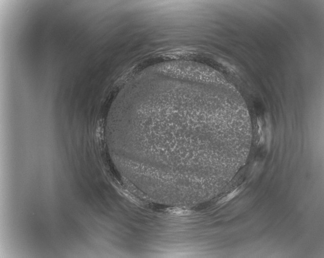 X0000055990284200509162259