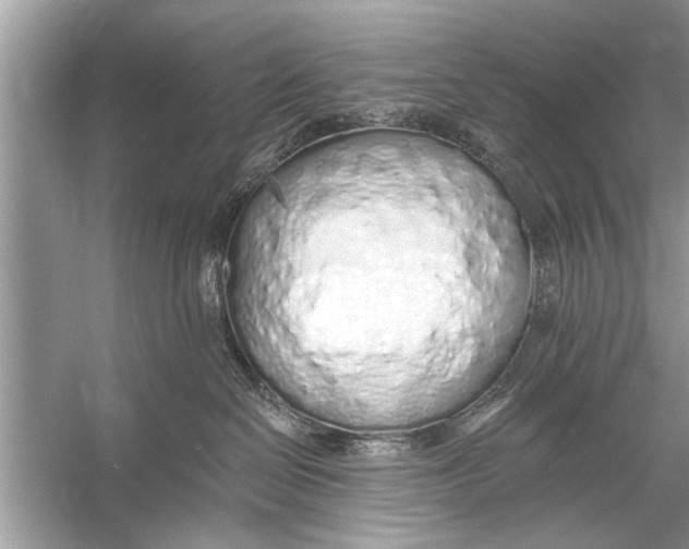 X0000055990286200509162259