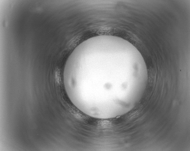 X0000055990287200509162259