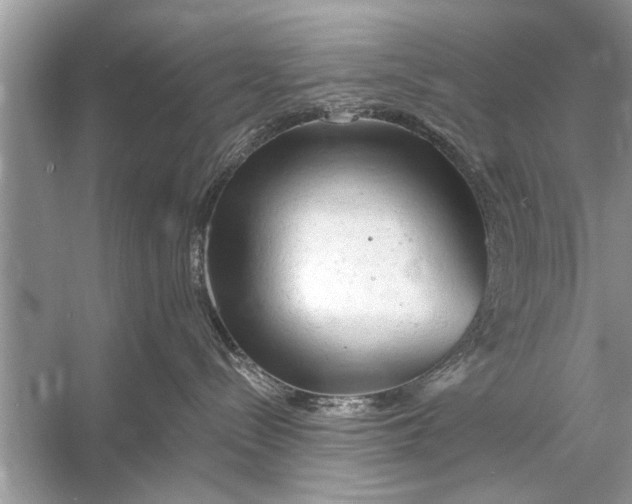 X0000055990288200509162259