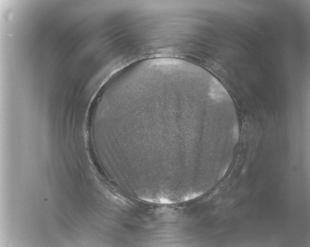 X0000055990290200509162259