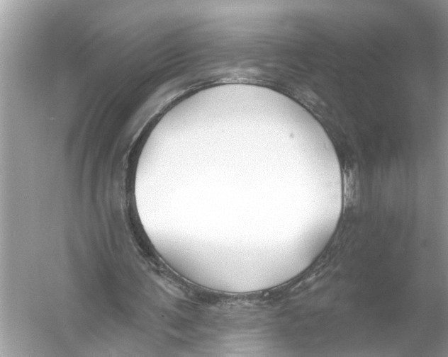 X0000055990291200509162259