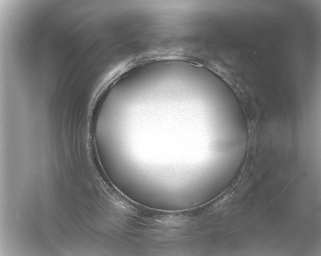 X0000055990293200509162259