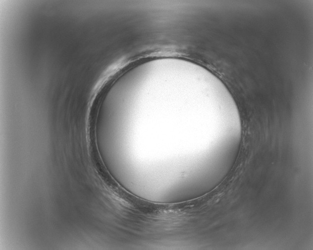 X0000055990296200509162259