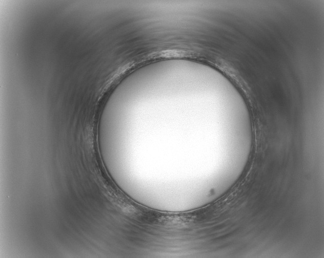 X0000055990297200509162259