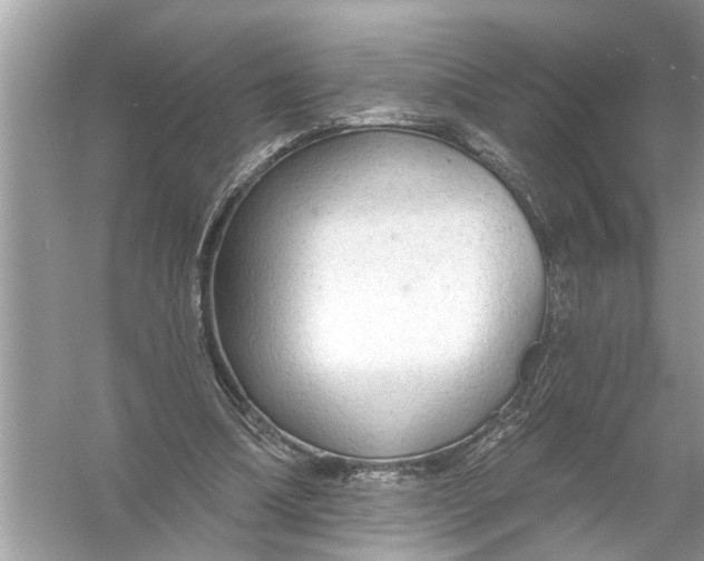 X0000055990298200509162258