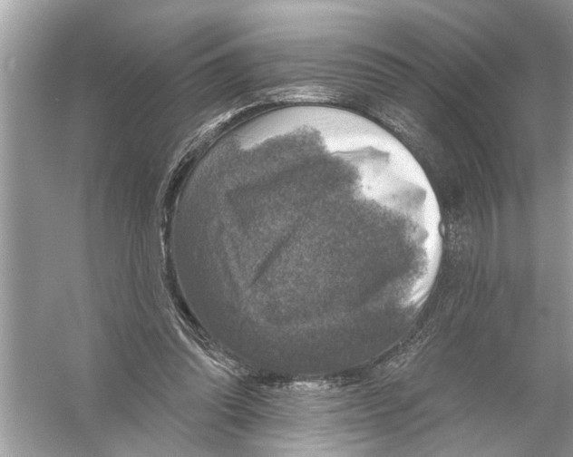 X0000055990302200509162258