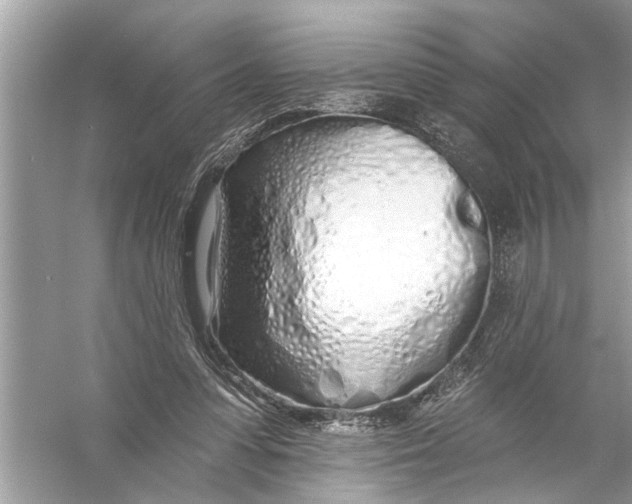 X0000055990303200509162258