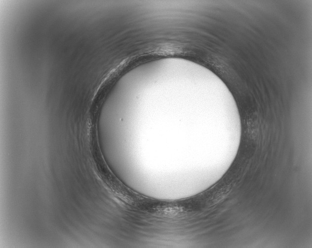 X0000055990304200509162258