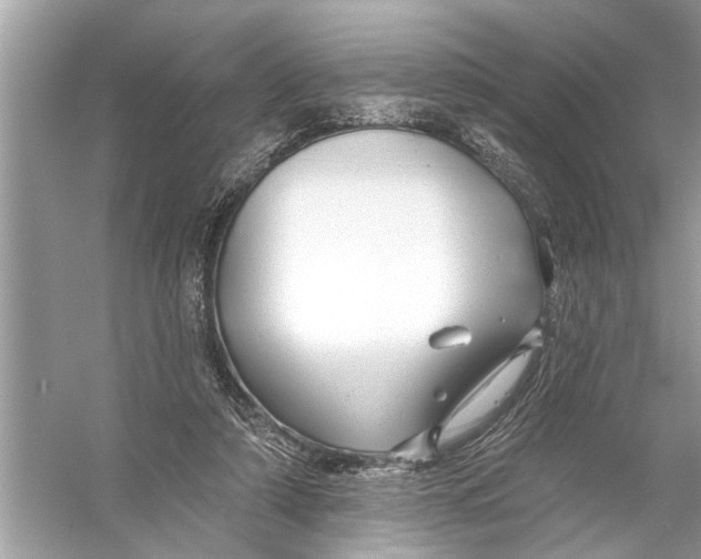 X0000055990306200509162258