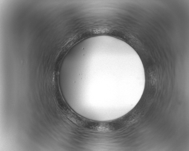 X0000055990308200509162258