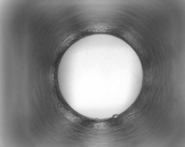 X0000055990309200509162258