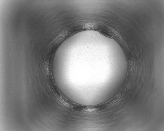 X0000055990313200509162258