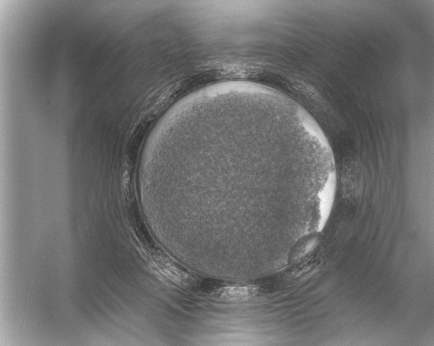 X0000055990314200509162258