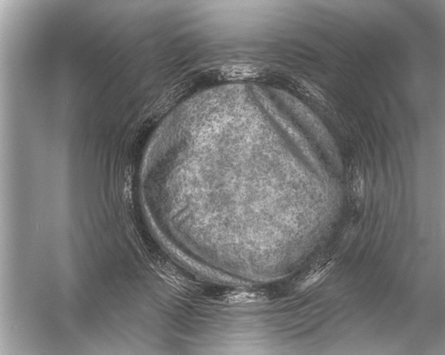 X0000055990315200509162258