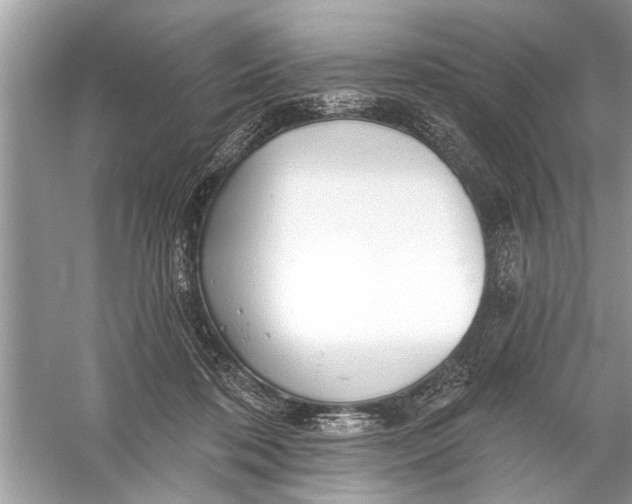 X0000055990316200509162258