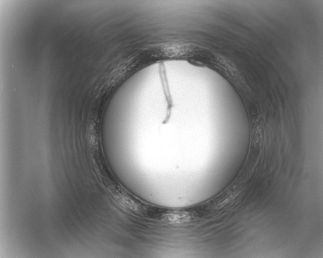 X0000055990317200509162258