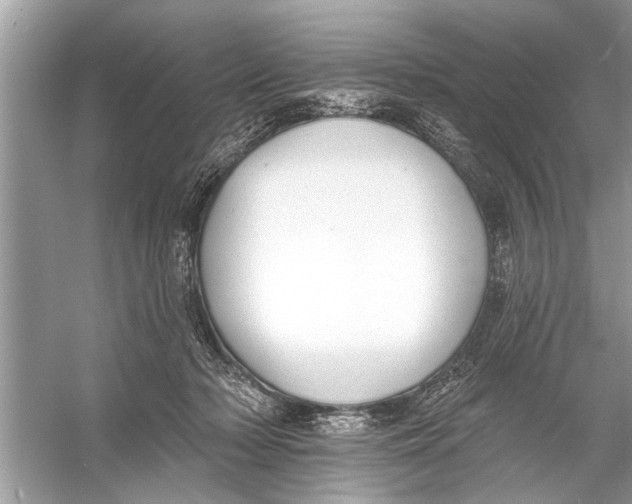 X0000055990318200509162258